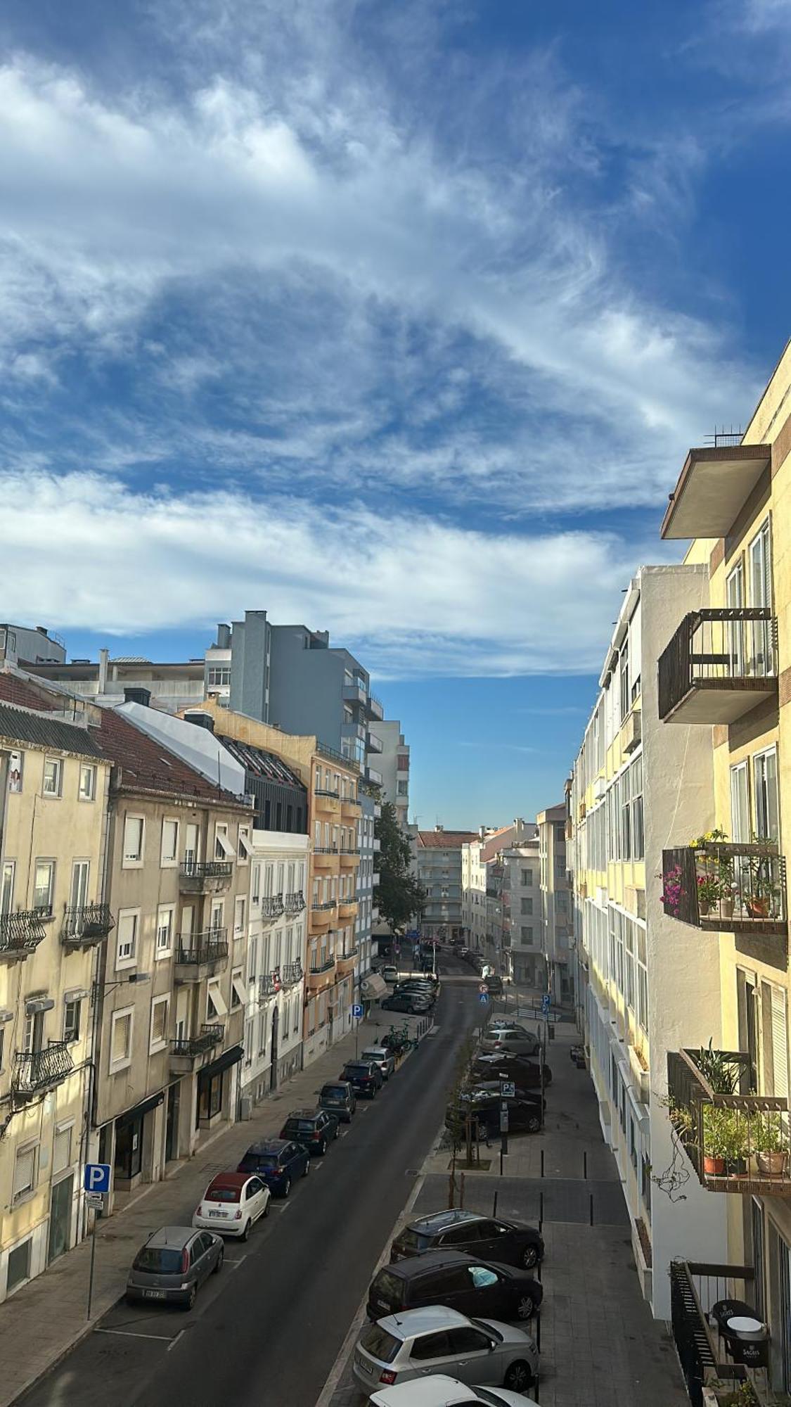 Garden Campo De Ourique Guest House - Hostel Lisboa Dış mekan fotoğraf
